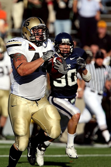 适应与挑战 适应与挑战